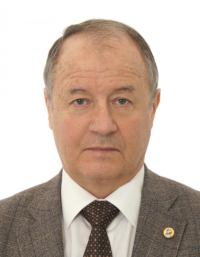 谢尔盖&middot;卡巴尼辛