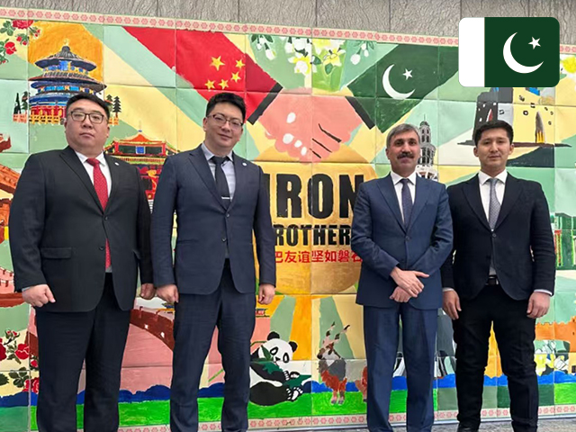 巴基斯坦驻驻华大使