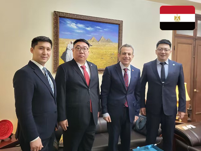 埃及驻华大使